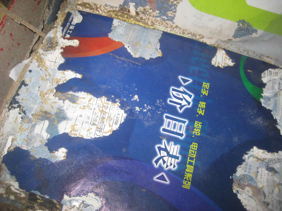 nEO_IMG_IMG_7496.jpg