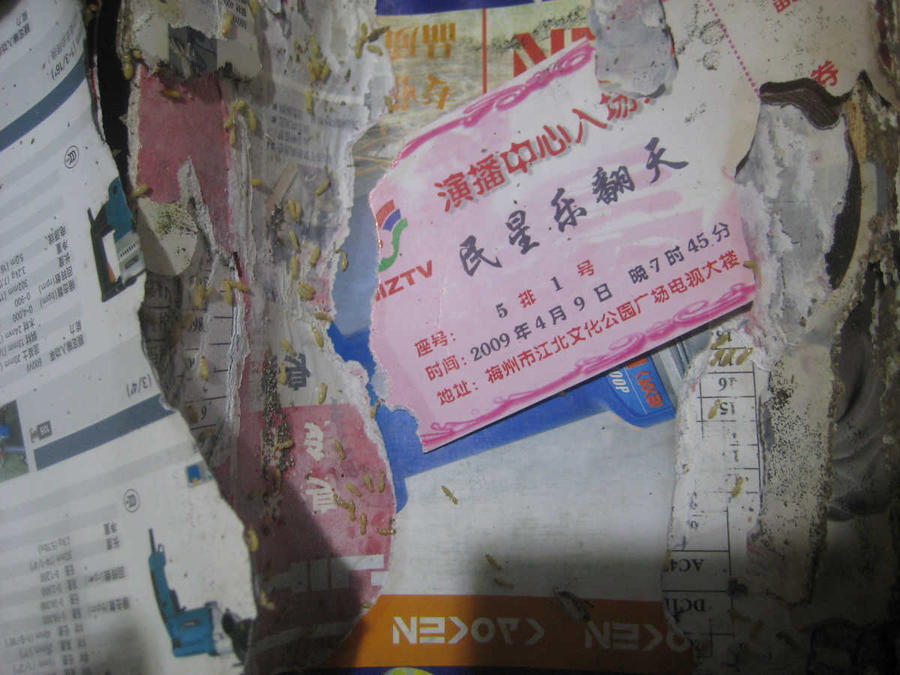 nEO_IMG_IMG_7501.jpg