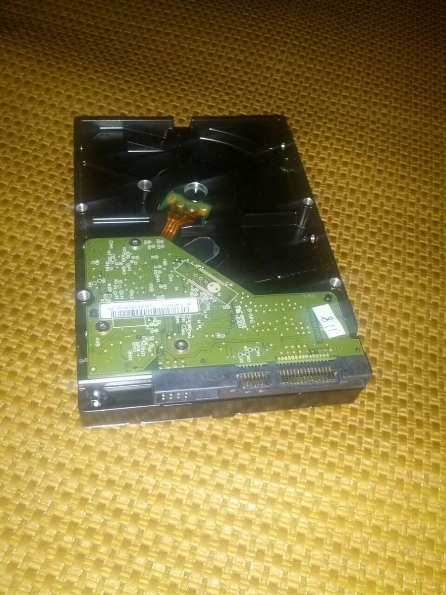 WD.jpg