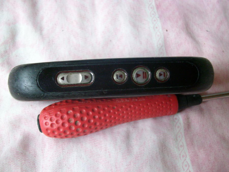 SANY0773.JPG