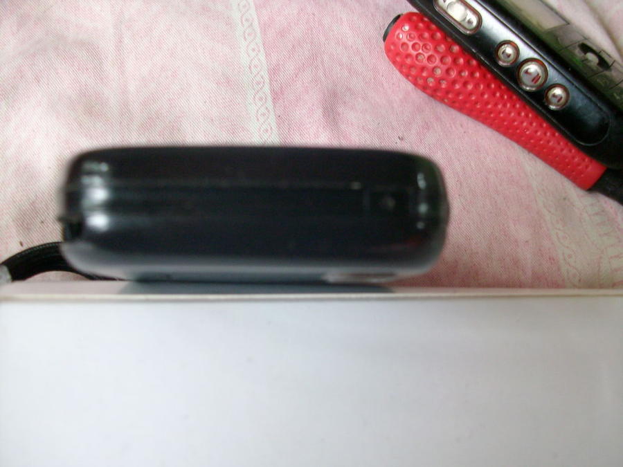 SANY0776.JPG