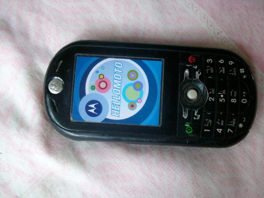 SANY0770.JPG