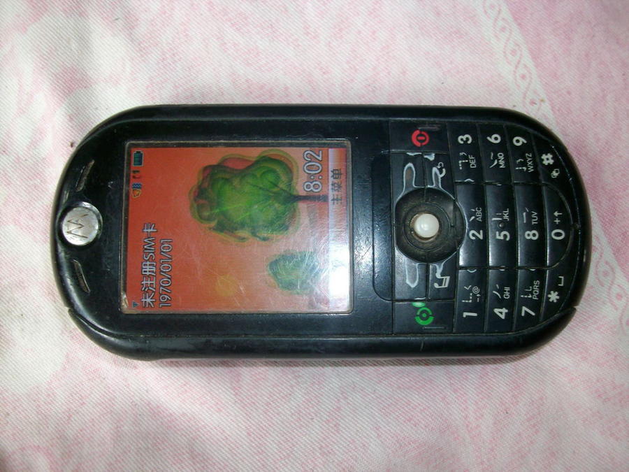 SANY0771.JPG