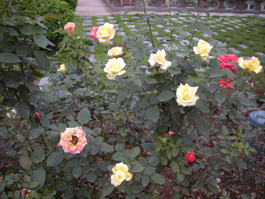 01.jpg