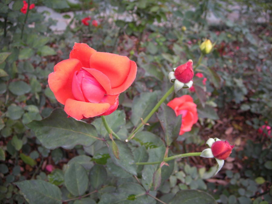 03.jpg