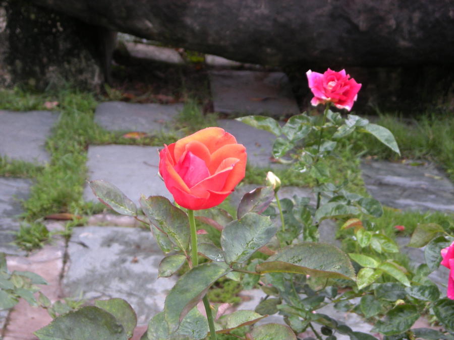 09.jpg