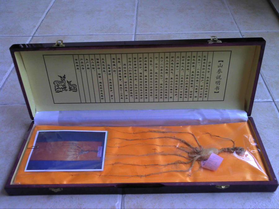 山参说明书.jpg
