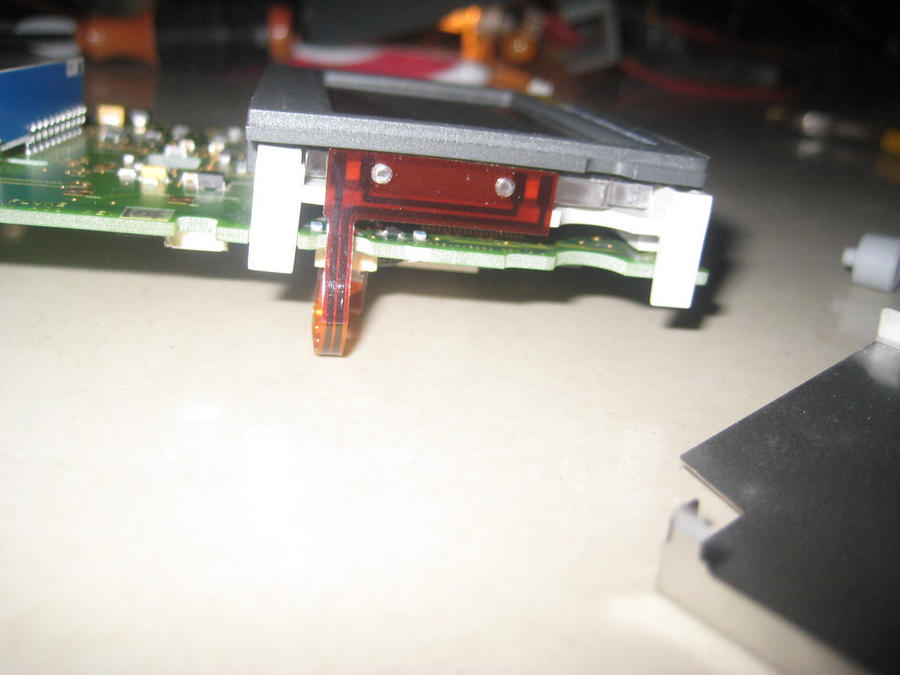 nEO_IMG_IMG_8785.jpg