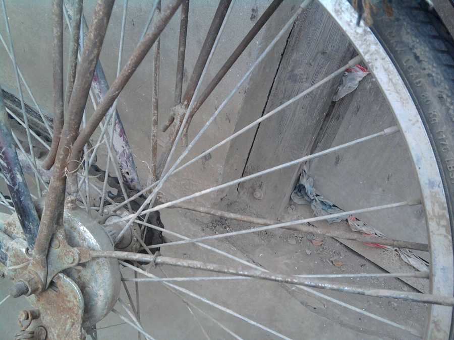 UC_Photo_03.jpg