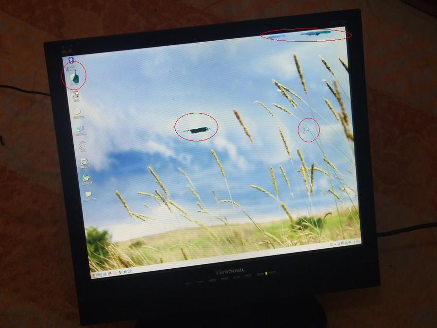 DSCF7816.jpg