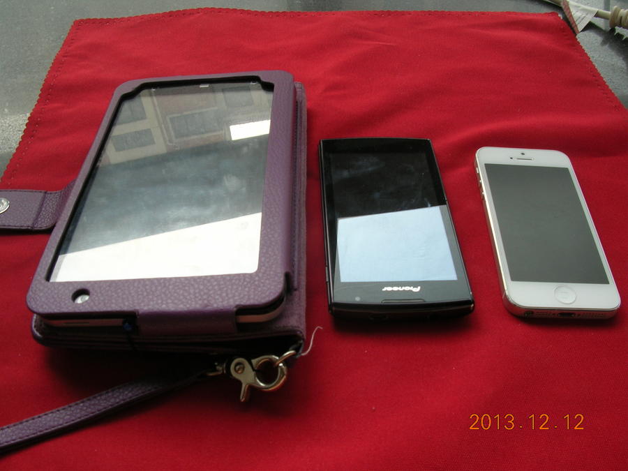 DSCN8040.JPG