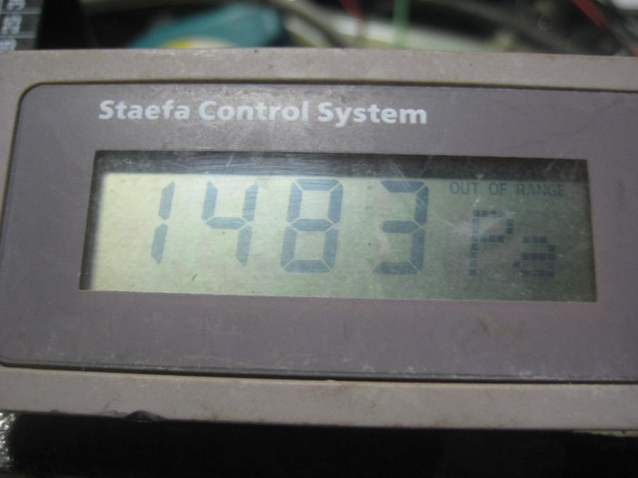 IMG_9905.JPG
