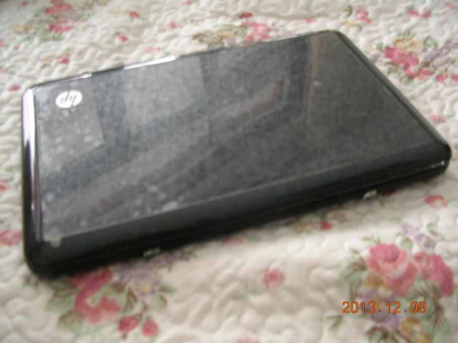 DSCN8029.JPG