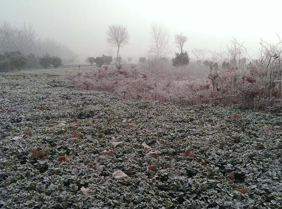 IMAG0112.jpg