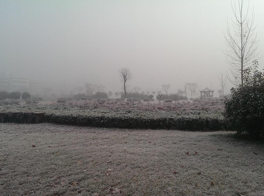 IMAG0108.jpg