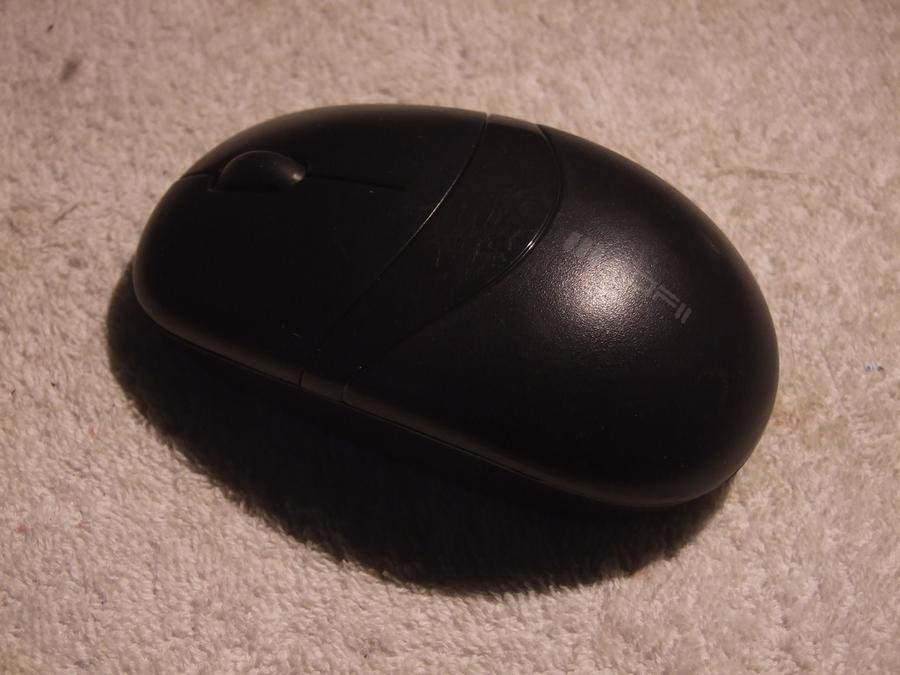 DSCF8483.jpg