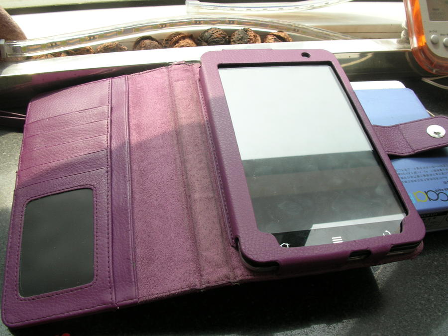 DSCN8136.JPG