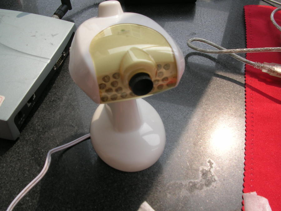 DSCN8141.JPG