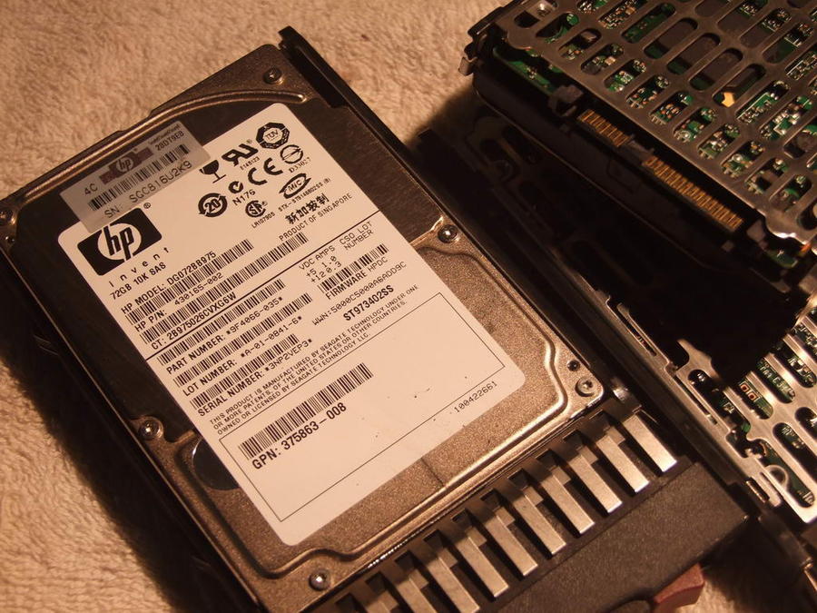 DSCF8541.jpg