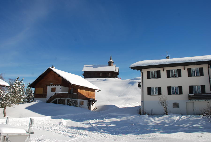 DSC_2240.JPG