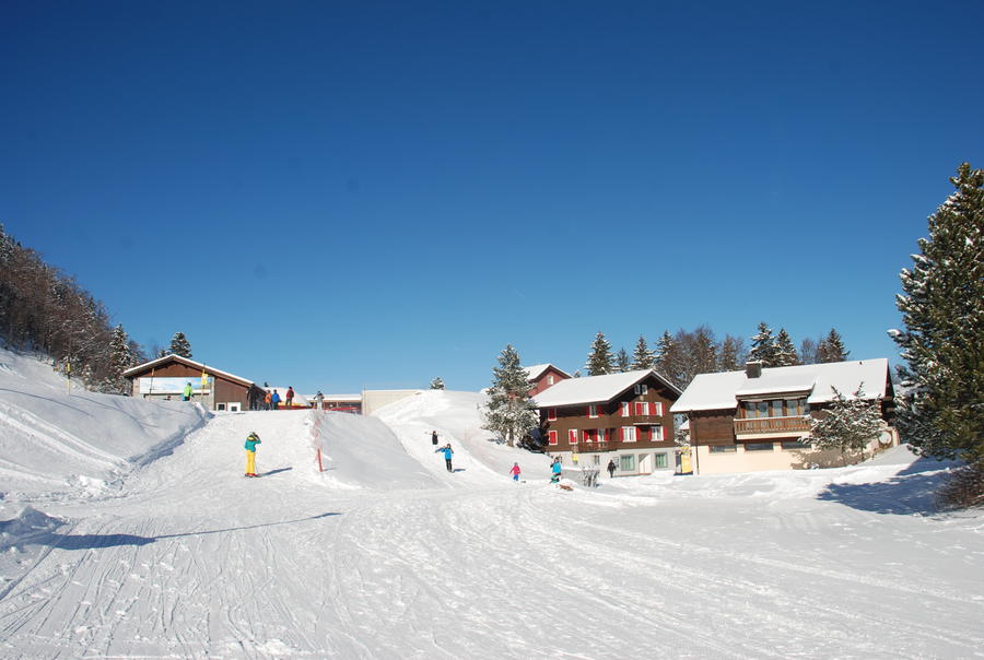 DSC_2248.JPG