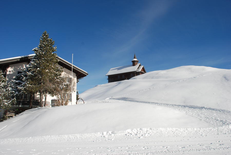 DSC_2249.JPG