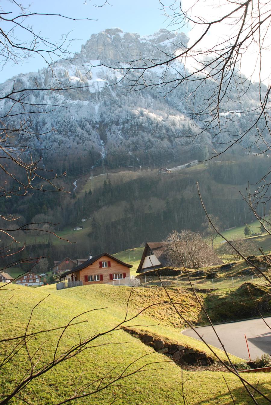DSC_2096.JPG