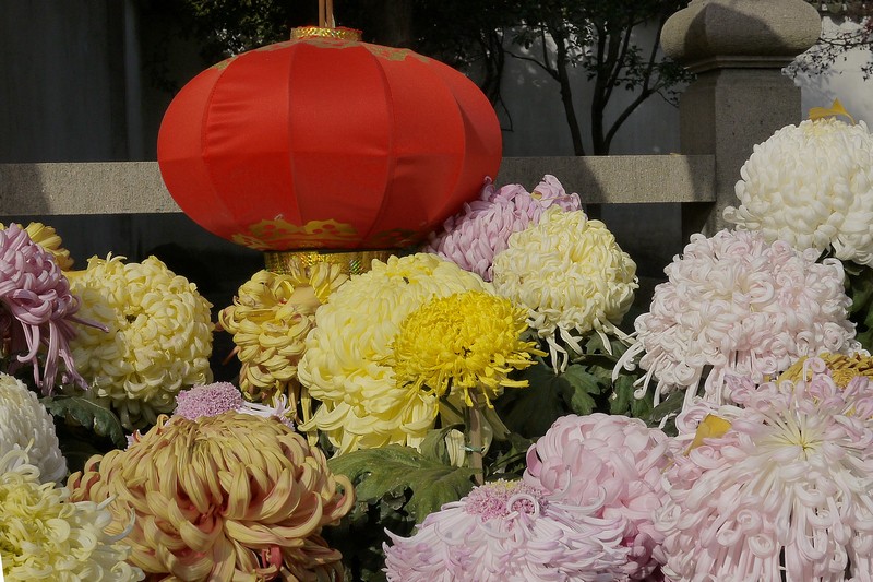 P1150831.1.jpg