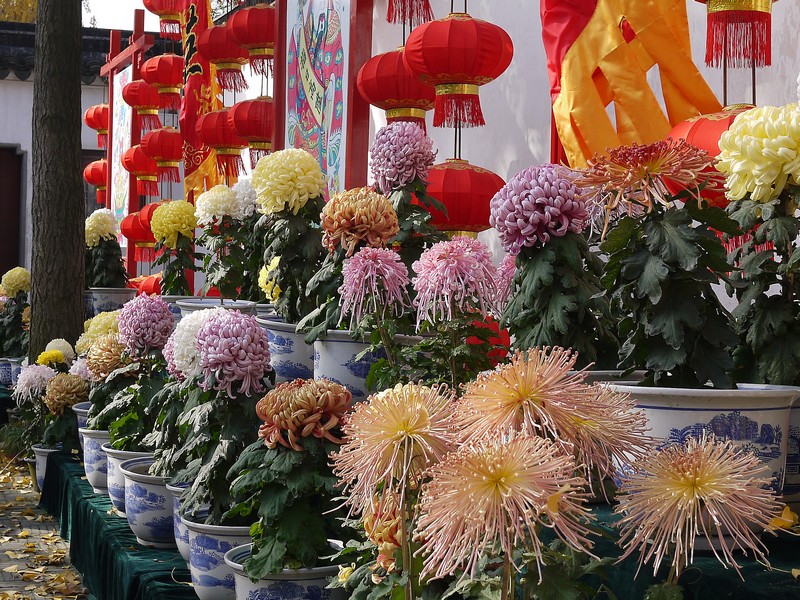 P1150840.1.jpg