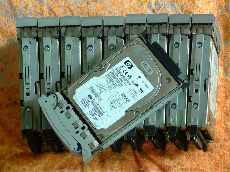 DSCF8924.jpg
