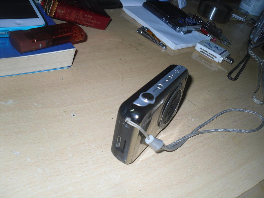 SDC10075_缩小大小.JPG
