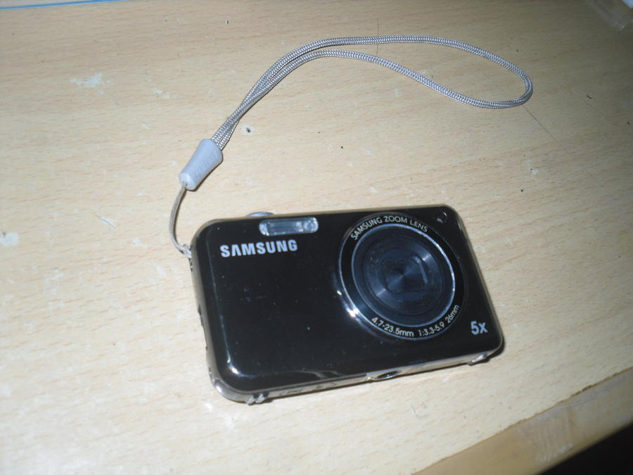 SDC10071_缩小大小.JPG