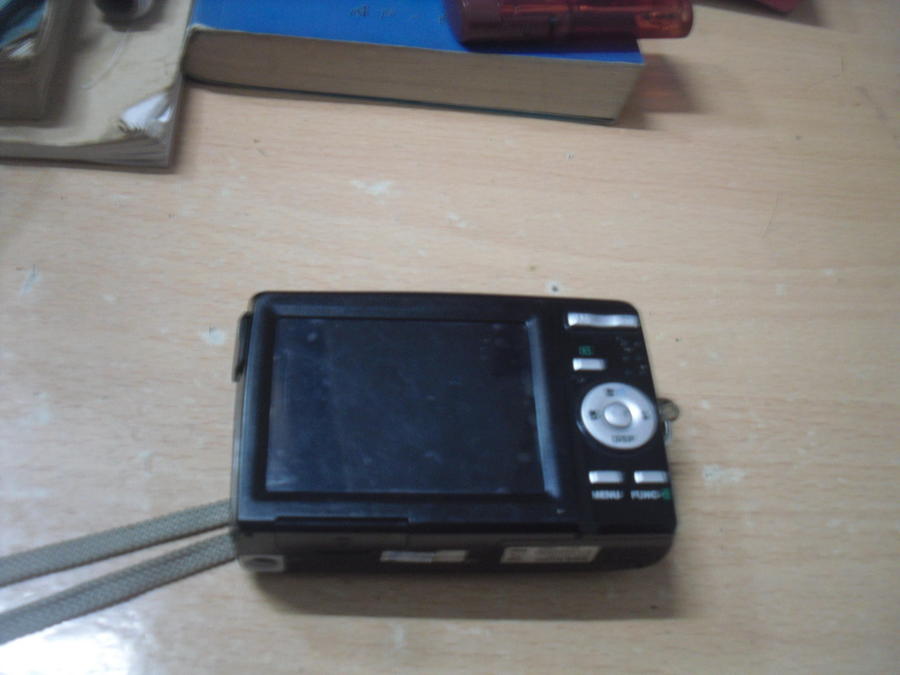 SDC10058_缩小大小.JPG