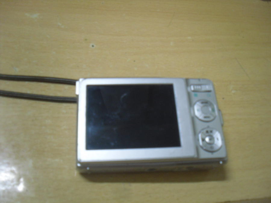 SDC10052_缩小大小.JPG