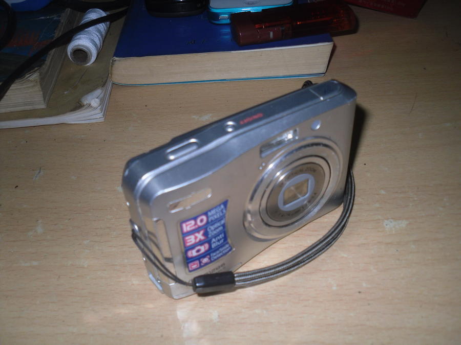 SDC10053_缩小大小.JPG