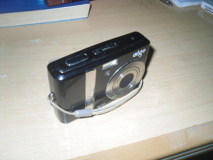 SDC10060_缩小大小.JPG