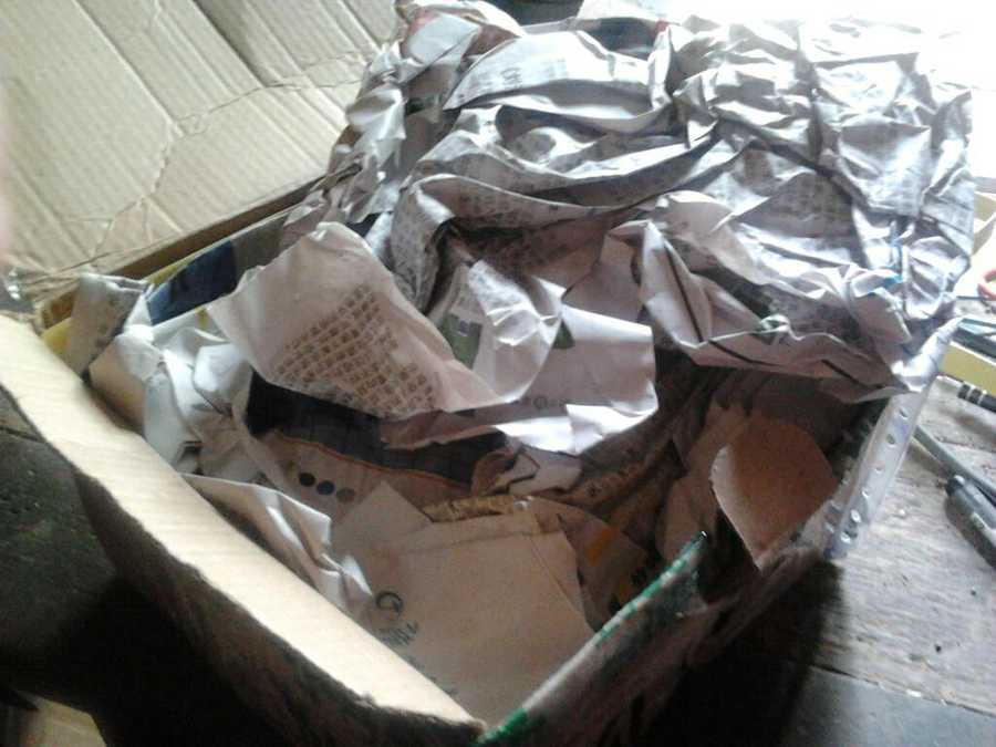 2014-05-03 09.01.05-1.jpg