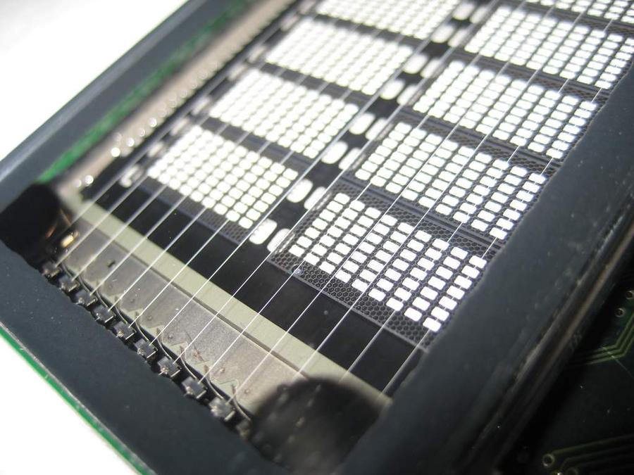 nEO_IMG_IMG_5977.jpg