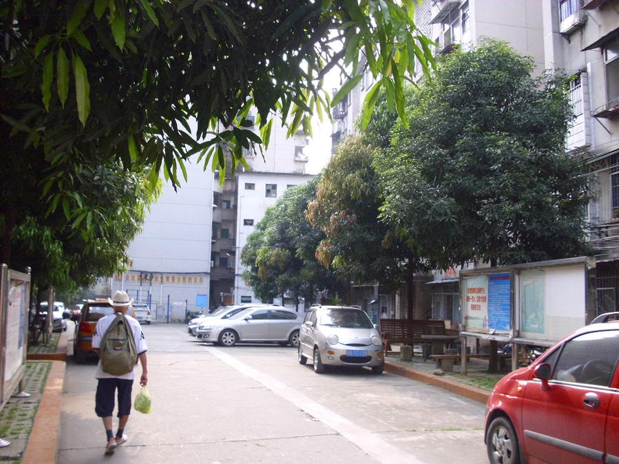 IMG_0697_缩小大小.JPG