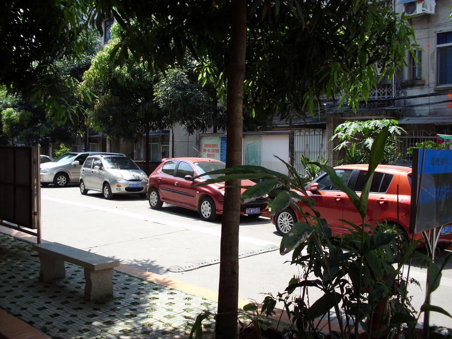 DSCI0137_缩小大小.JPG