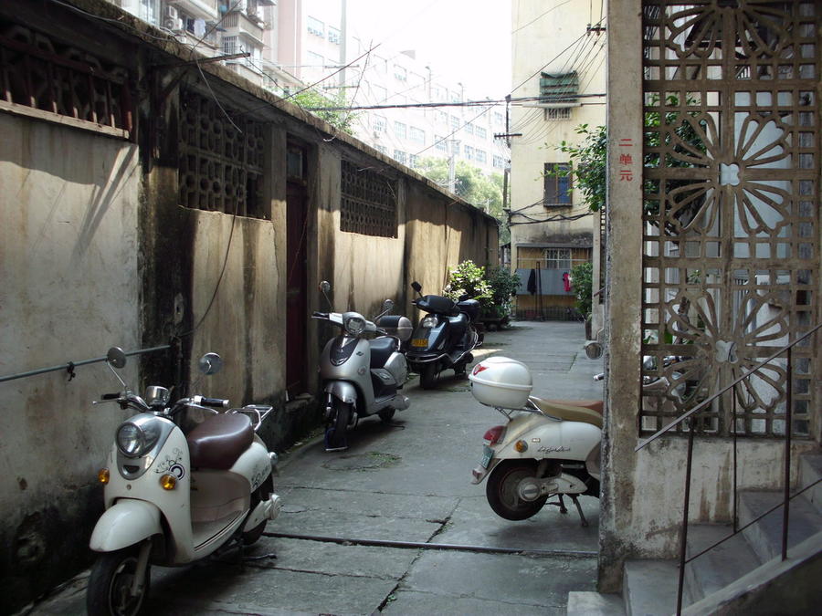 DSCI0032_缩小大小.JPG