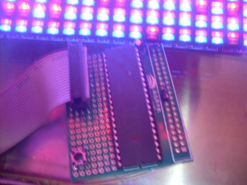 SDC14501.JPG