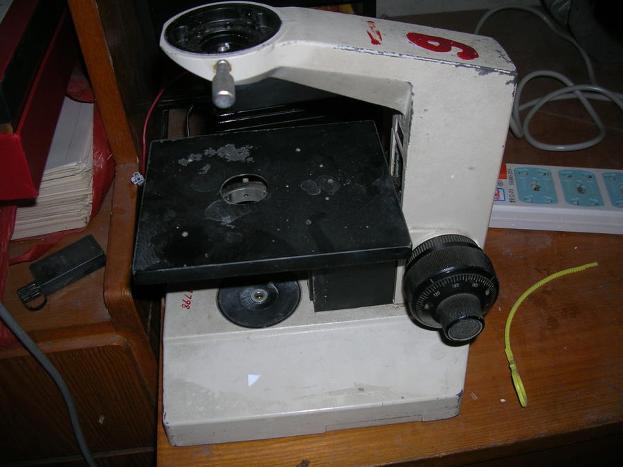 DSCN7831.JPG
