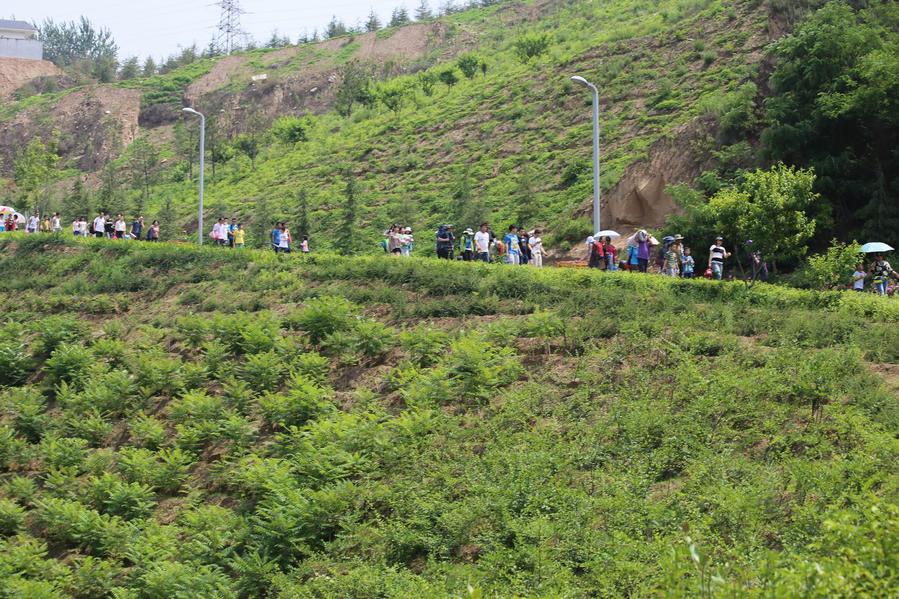 调整大小 照片 097.jpg