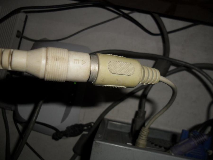 SAM_4175.JPG