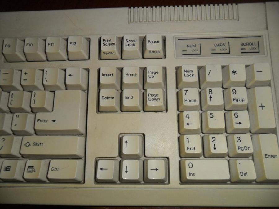 SAM_4179.JPG