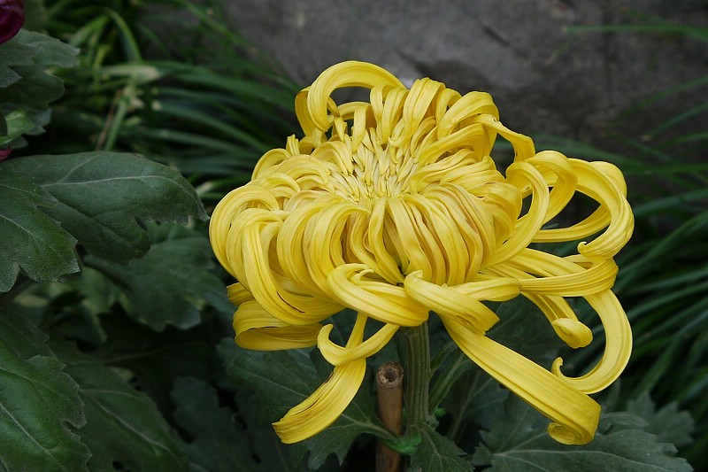 P1130004.0.jpg
