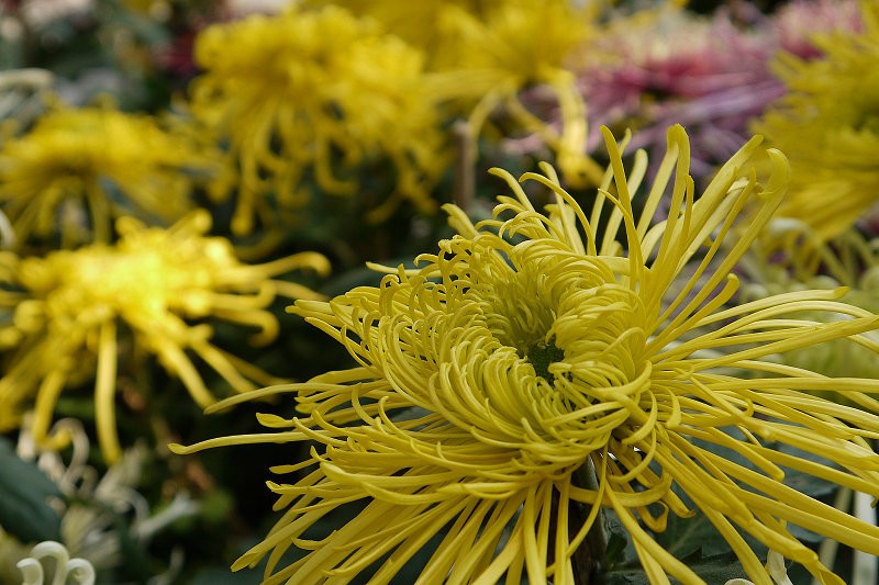 P1130438.0.jpg