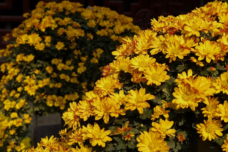 复件 P1140900.1.jpg