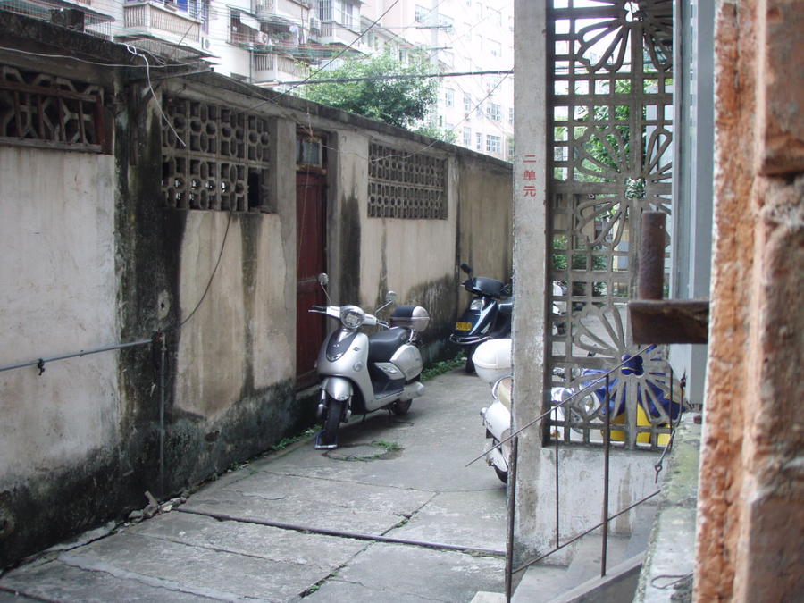 P1010013.JPG